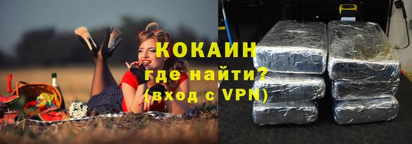 амф Новозыбков