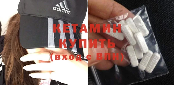индика Новодвинск
