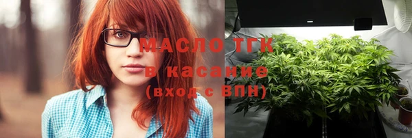 амф Новозыбков