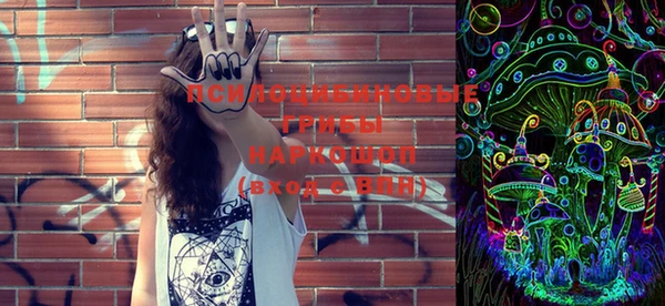 apvp Нязепетровск