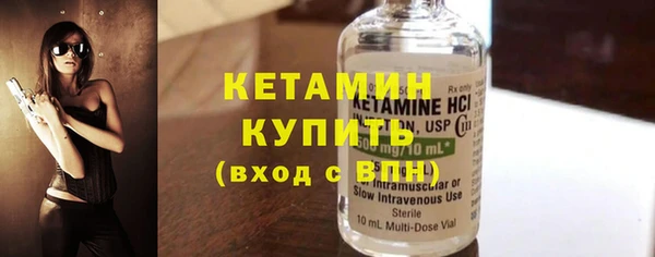 индика Новодвинск