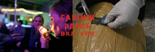 индика Новодвинск