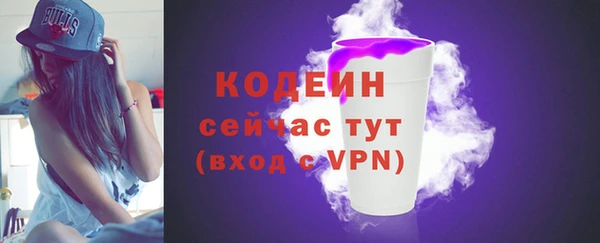 индика Новодвинск