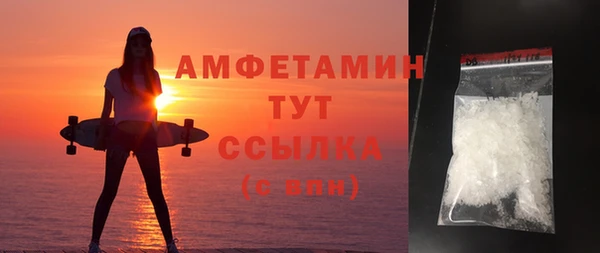 индика Новодвинск