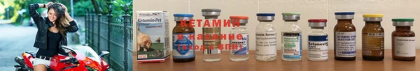 индика Новодвинск
