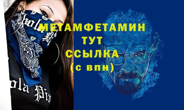 индика Новодвинск