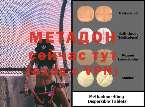 индика Новодвинск