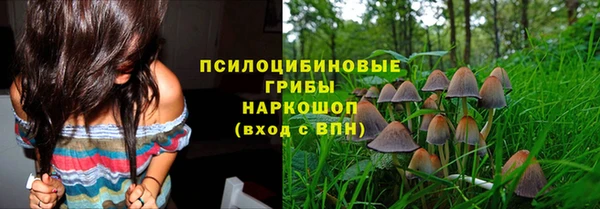 индика Новодвинск