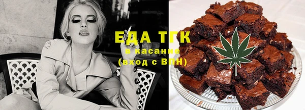 индика Новодвинск