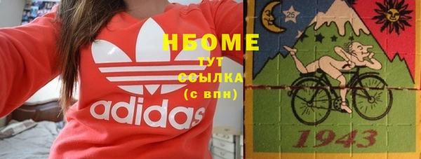 индика Новодвинск