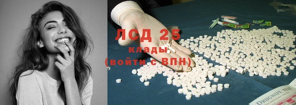 амф Новозыбков