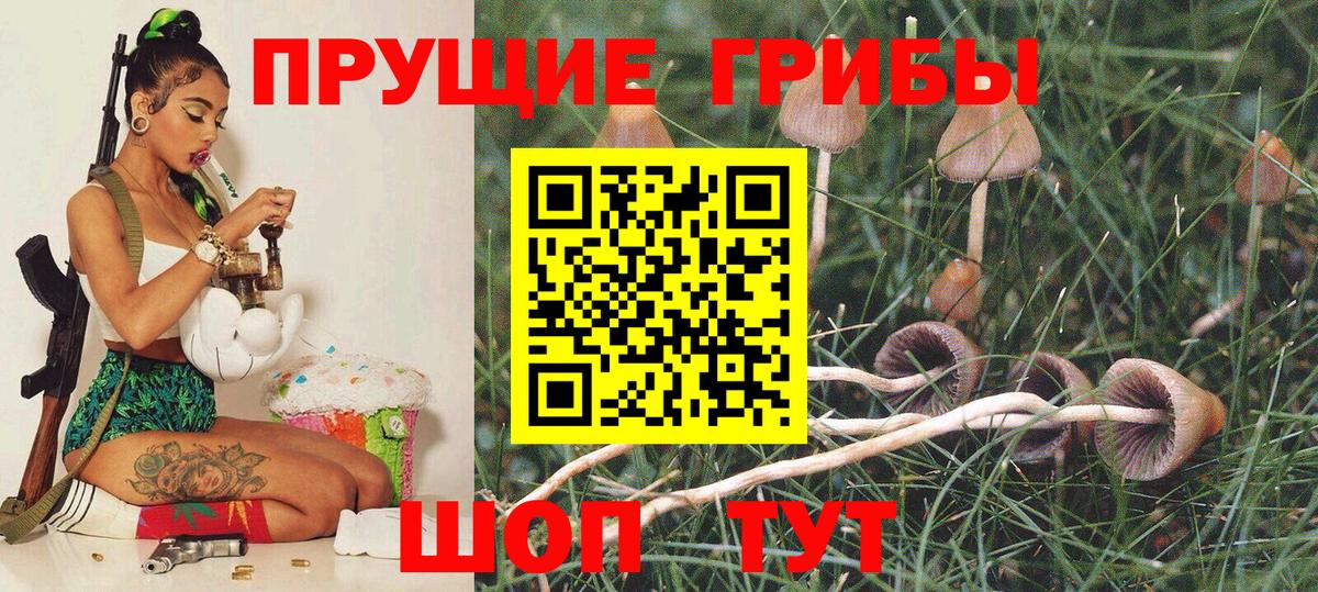 COCAIN Старая Купавна